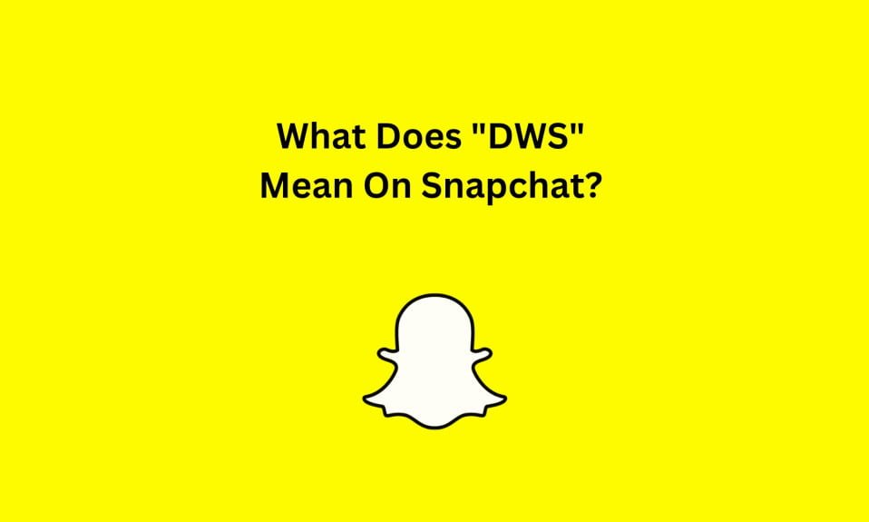 What Does DWS Mean On Snapchat